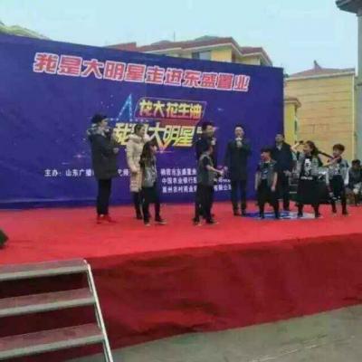 山東，大型舞臺魔術(shù)，人體分身，魔毯懸人，百葉窗出人，美女擠壓，美女不倒翁，椅子懸浮，劍穿美女，大變活人，閃電換人，奪魂刺