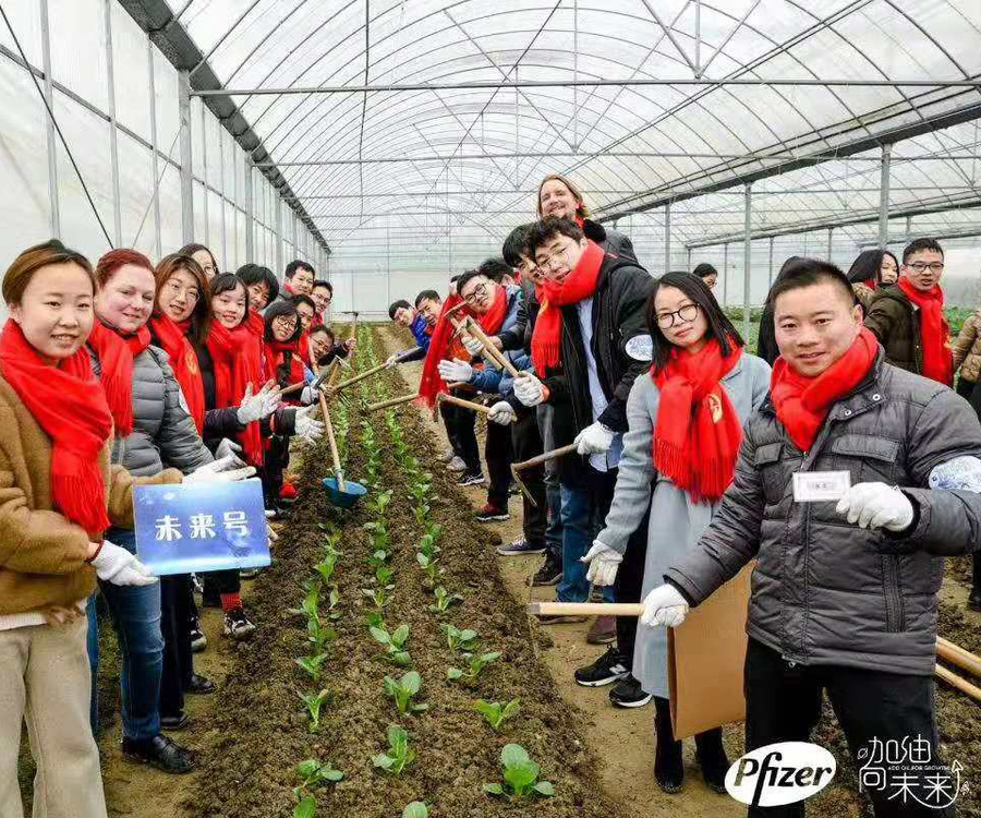 2019輝瑞藥業(yè)加油向未來年會-團(tuán)建篇